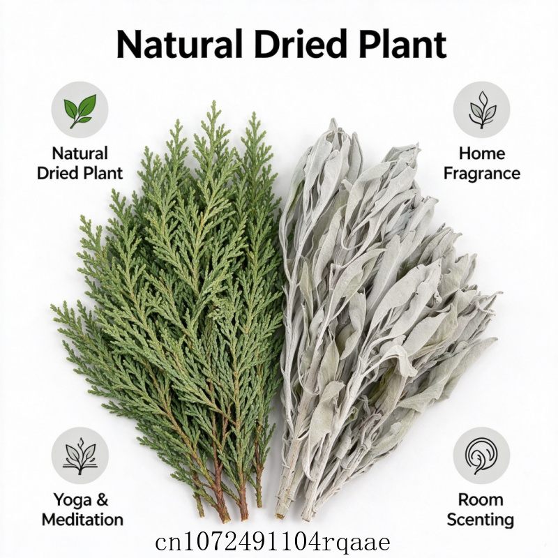 Getrocknete weiße Salbei- und  – Dried Herbs Bewertung und Preis