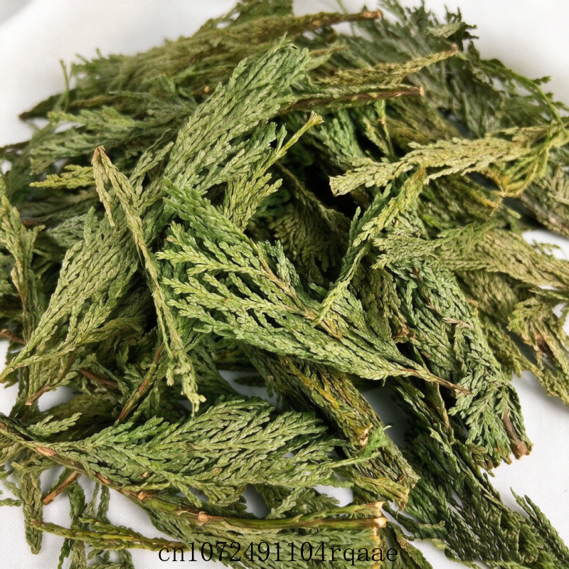 Getrocknete weiße Salbei- und  – Dried Herbs Bewertung und Preis
