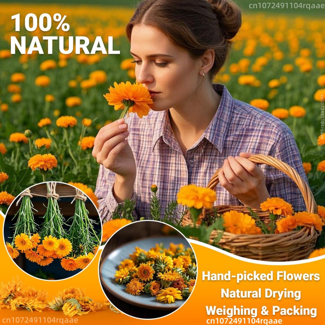 Natürliche getrocknete Ringelb – Chamomile Tea Bewertung und Preis