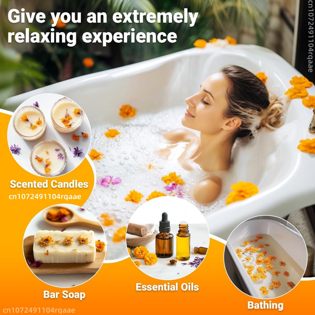 Natürliche getrocknete Ringelb – Chamomile Tea Bewertung und Preis
