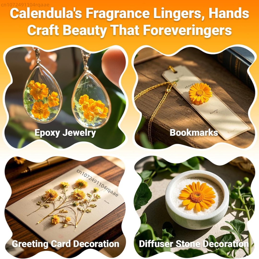 Natürliche getrocknete Ringelb – Chamomile Tea Bewertung und Preis