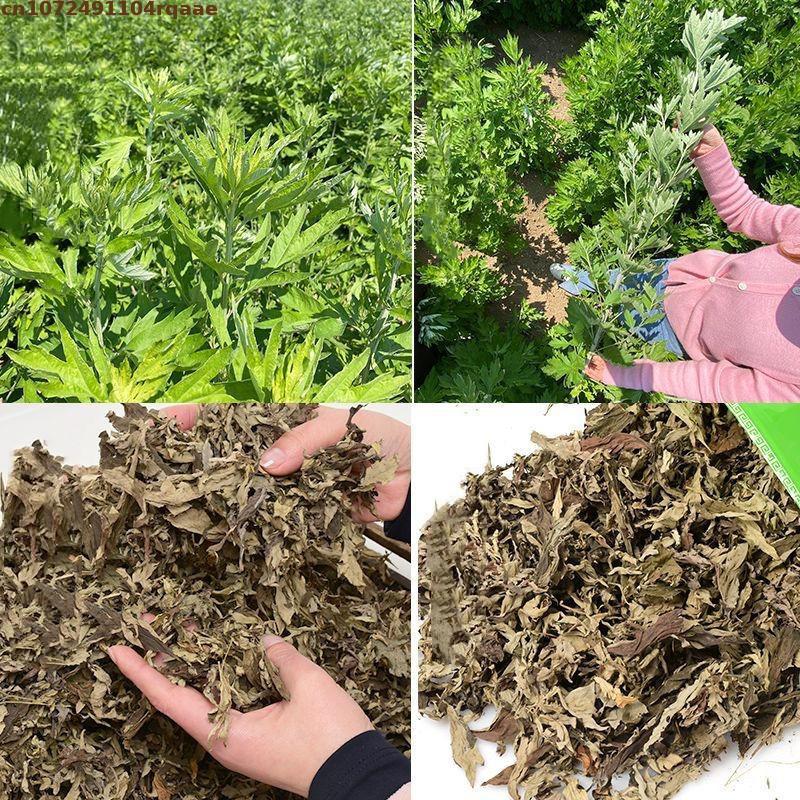 100% natürliche getrocknete ay – Chamomile Tea Bewertung und Preis