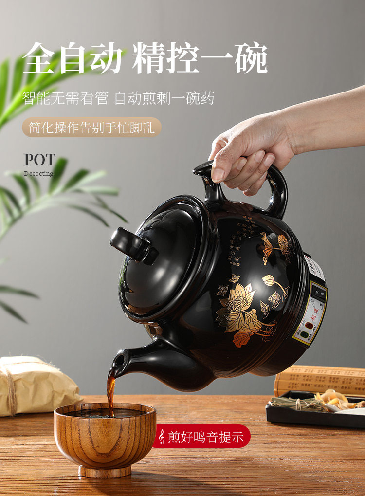 220V Automatischer Kräutertee- – Herbal Tea Bewertung und Preis