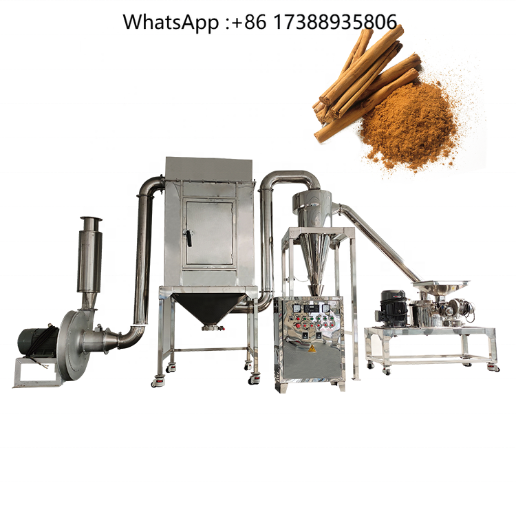 DZJX Professionelle Kurkuma-Ma – Turmeric Bewertung und Preis